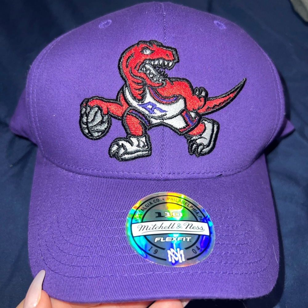 Toronto Raptors Hat
